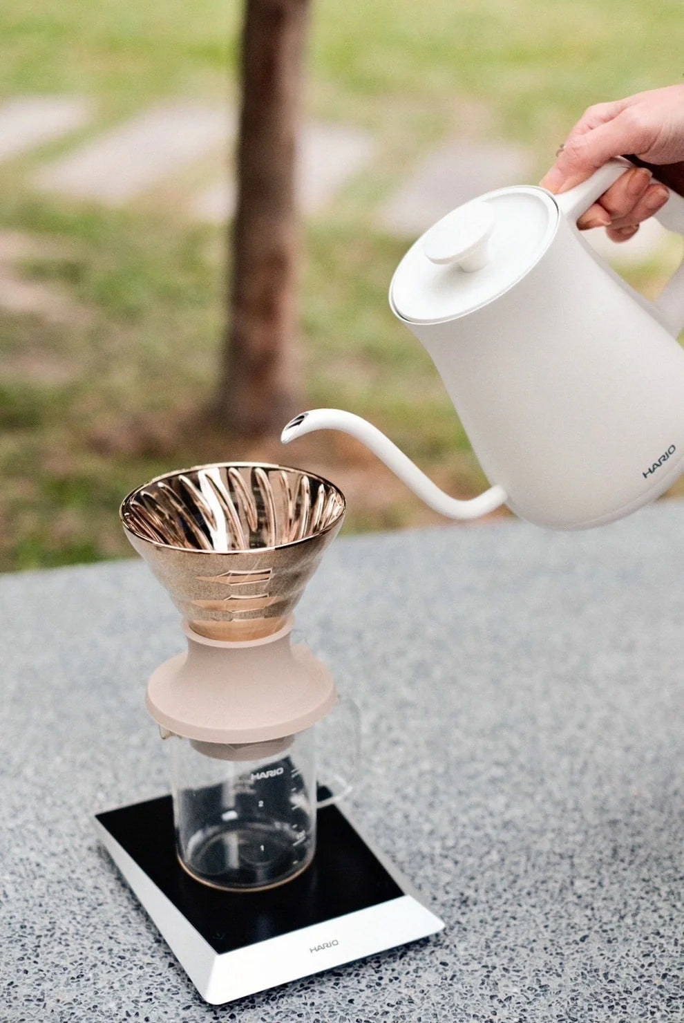 Hario Alpha Electric Kettle