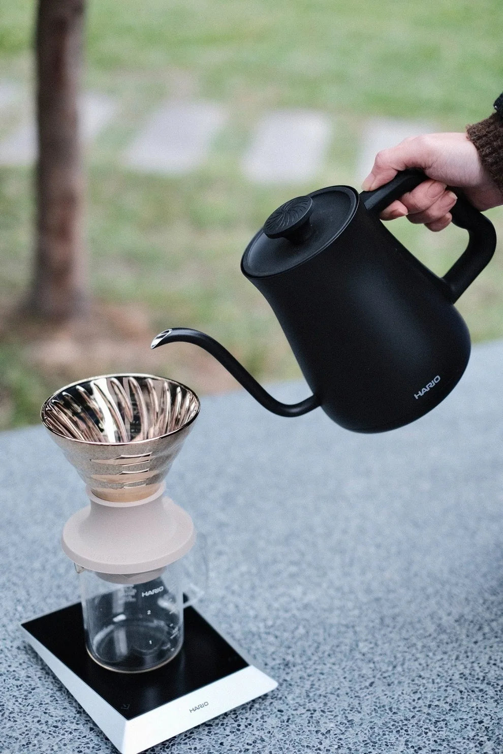 Hario Alpha Electric Kettle