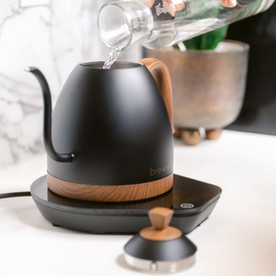 Brewista Artisan Gooseneck Kettle
