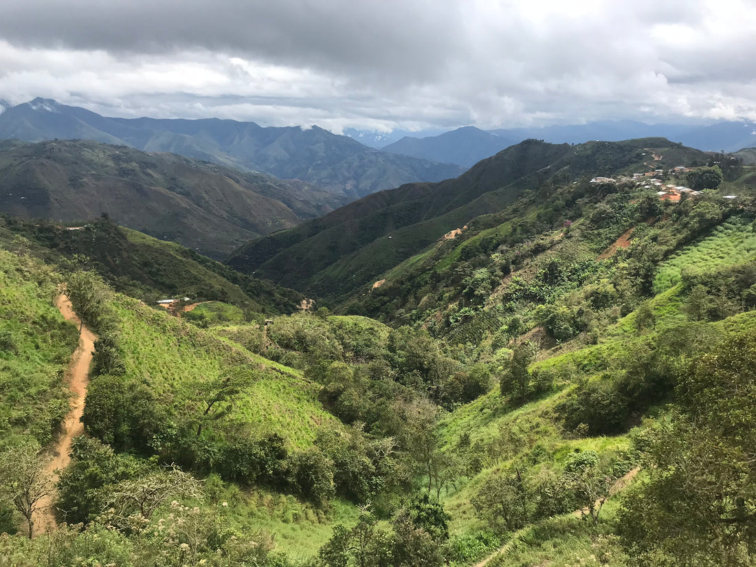 Rioja Family - Peru