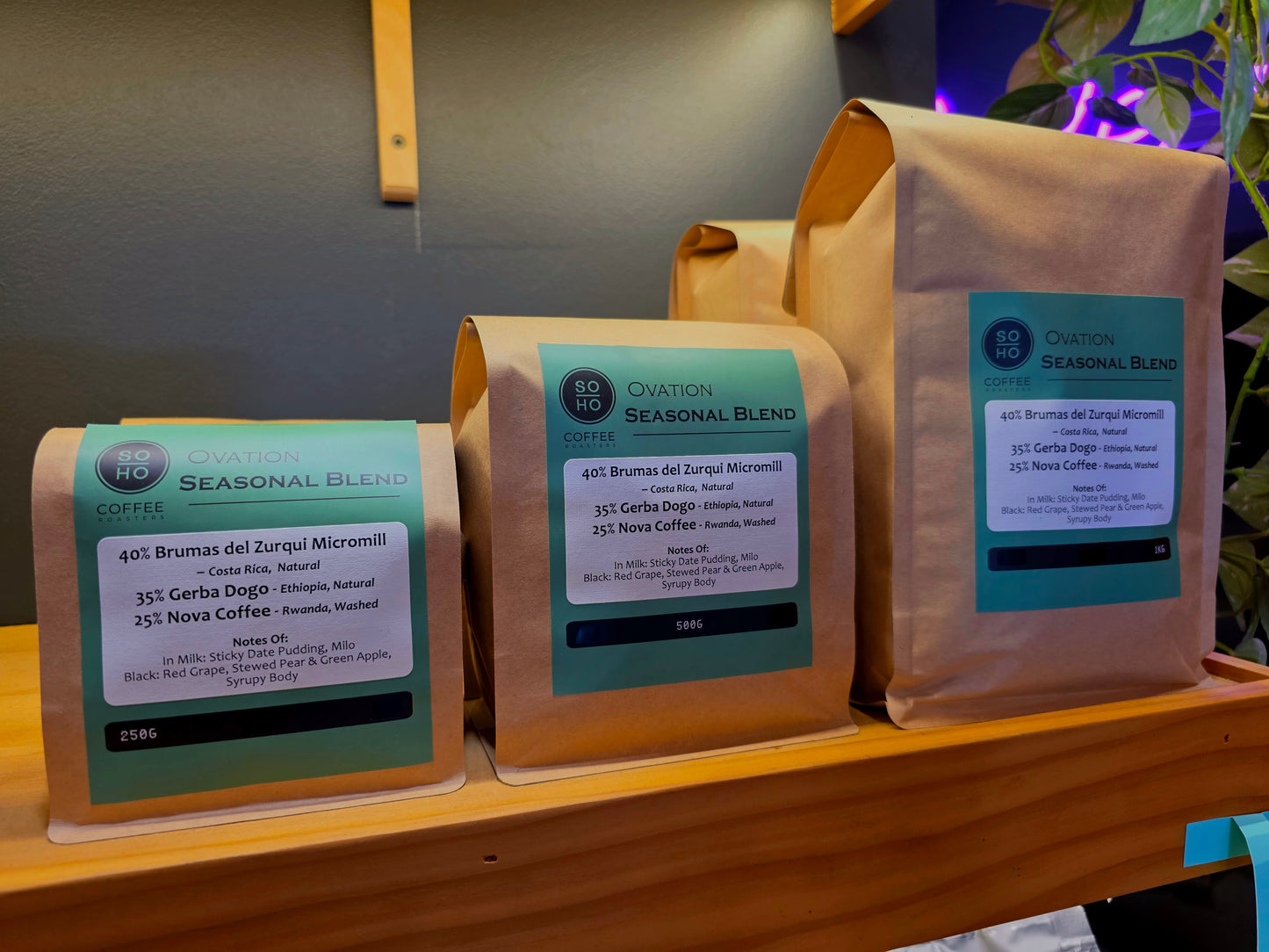 Ovation Seasonal Blend
