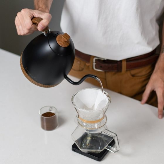Brewista Artisan Gooseneck Kettle