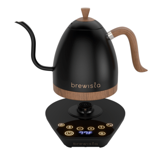 Brewista Artisan Gooseneck Kettle