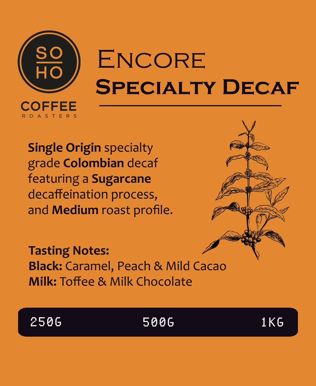 Encore Specialty Decaf